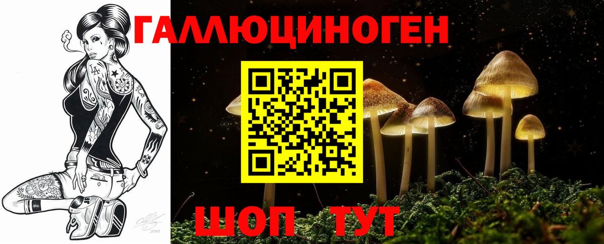 Галлюциногенные грибы Psilocybine cubensis  Галлюциногенные грибы мухоморы  Вход с VPN  Хабаровск 